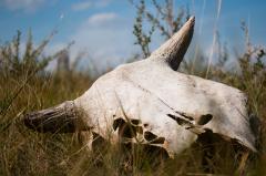��������������� ������� - Archeological founds